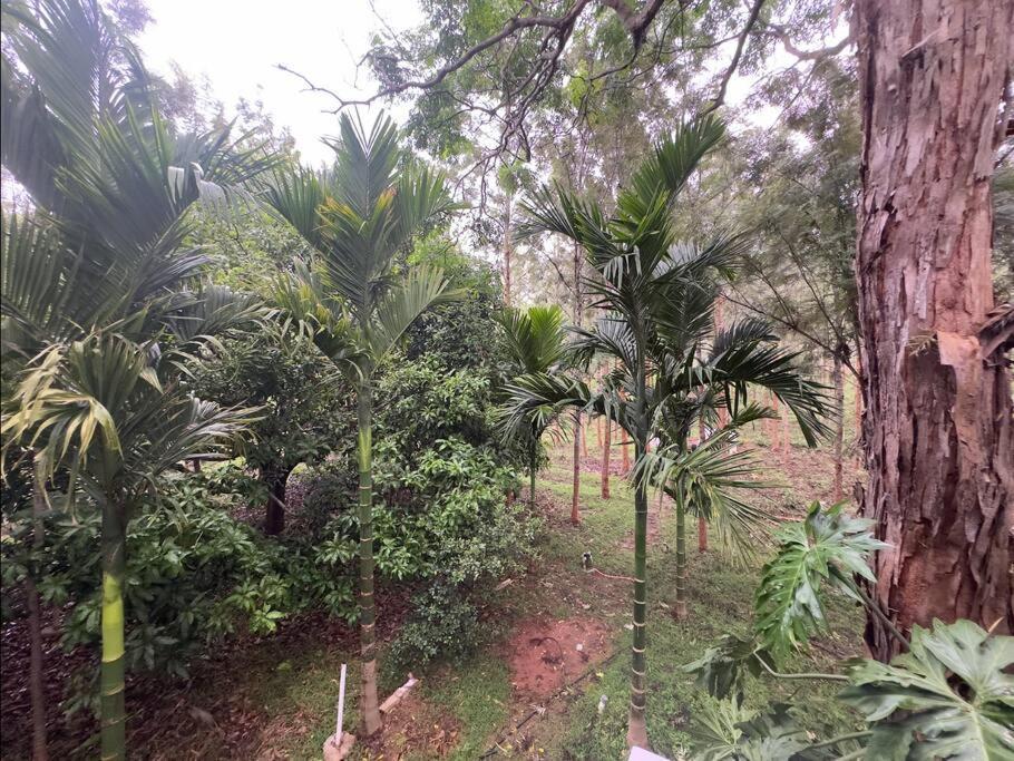 Serenity Farm Stay Hampapura Luaran gambar